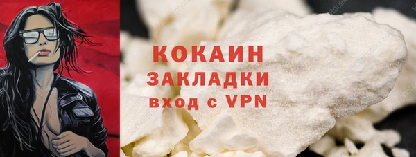 крисы Дмитриев