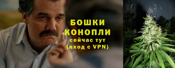 крисы Дмитриев