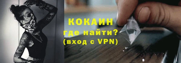 крисы Дмитриев