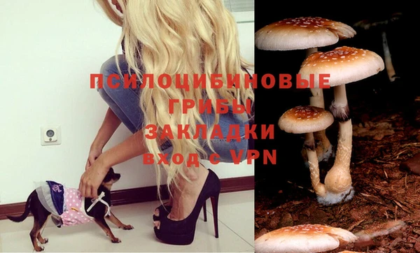 каннабис Дмитров