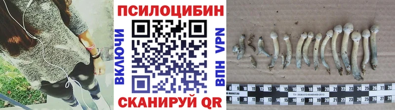 Псилоцибиновые грибы MAGIC MUSHROOMS Пущино