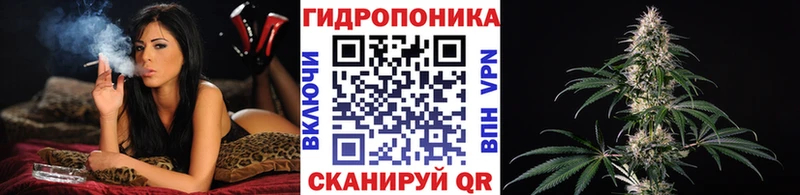 где можно купить   Пущино  Бошки Шишки MAZAR 